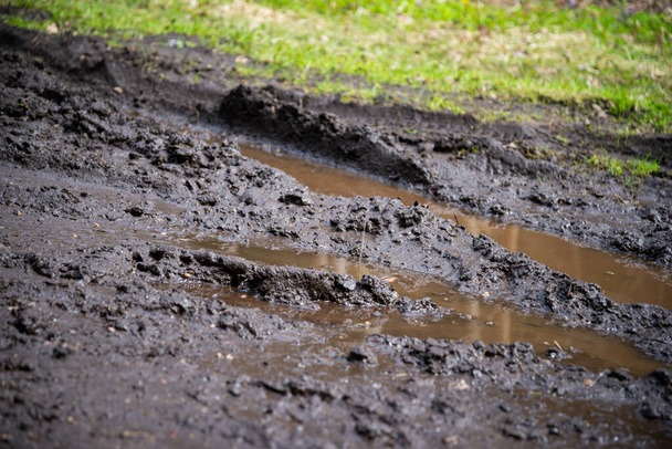 Parking on Grass: How Green Parking Works